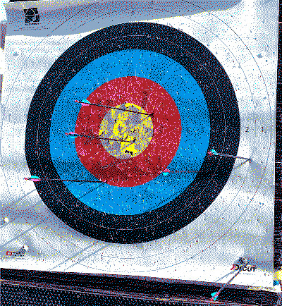 An archery target sheet showing concentric circles - yellow in the centre, followed by red, blue, black and white. There are many holes in it. Six arrows have struck the target but are spread across the rings.