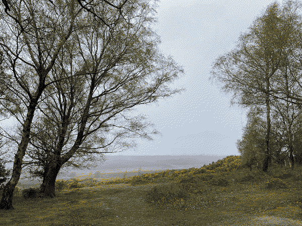 A foggy view from a hilltop, framed by trees on each side