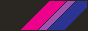 Bisexual