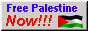 Ceasefire now! with Palestinian flag