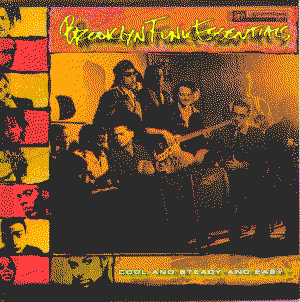 Cool and Steady and Easy by Brooklyn Funk Essentials