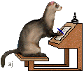 Ferret writing at a desk
