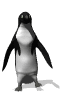 A dancing penguin